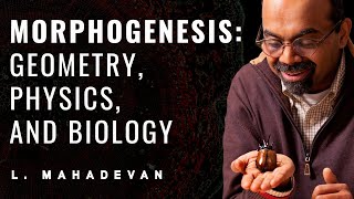 Morphogenesis L Mahadevan Public Lecture [upl. by Naerad416]