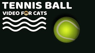 GAME FOR DOGS AND CATS Tennis Ball Video for Dogs and Cats to Watch [upl. by Etienne]