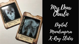 Xray Slides by Digital Mandragora [upl. by Salokkin624]