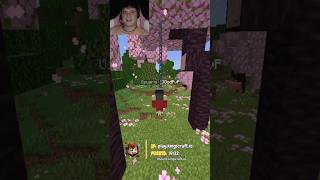 ¡La TRAMPA a unos duplicadores de mi servidor de Minecraft 🤯😱 minecraft shorts viral [upl. by Ethben]