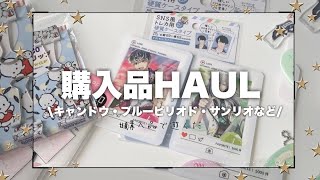 【購入品紹介】グッズ紹介！キャンドゥのSNS風トレカ用グッズや、サンリオ缶バッジの開封などHAULブルーピリオド [upl. by Solita]