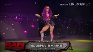 WWE  Sasha Banks Best Entrances 2016  2017 Part 1 [upl. by Parsaye]