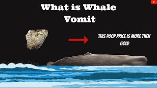 What is whale vomit whalevomit ambergris facts [upl. by Olli394]