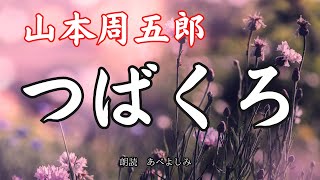 【朗読】山本周五郎「つばくろ」 朗読・あべよしみ [upl. by Moises680]