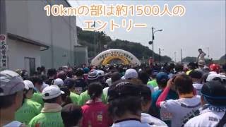 第39回小豆島オリーブマラソン10kmの部スタート [upl. by Nitsed450]