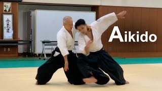 Aikido Demonstration 2019  Shirakawa Katsutoshi shihan [upl. by Mazlack]