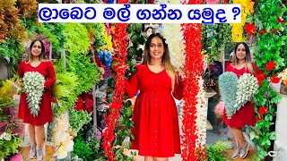 ලාබෙට මල් ගන්න පිටකොටුවට  Flower Boque  Flower Shop Pitakotuwa  Flower Streets [upl. by Delmor]