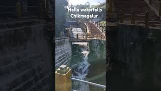 Honnammana Halla Waterfalls Chikmagalur shorts youtubeshorts chikmagalur waterfall [upl. by Hilde417]