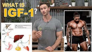 What is IGF1 Growth Factors for Bodybuilding by Thomas DeLauer  Deer Antler Velvet Extract [upl. by Tu]