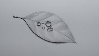 Pencil Drawing And Shading Realistic Water Drops On A Leaf [upl. by Rubens]