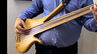 10 String Fretless Sub Contra Bass  In Tune [upl. by Bunns]