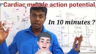 Understanding Cardiac Muscle Action Potential on YouTube easy Explanation for beginners [upl. by Lumpkin207]