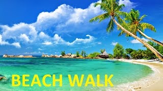 Beach Walk 2013  Barcelo Punta Cana [upl. by Arihsat]