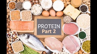 proteins biochemistry protein structure protein synthesis protein foods protein powder Tertiary [upl. by Ayimat]