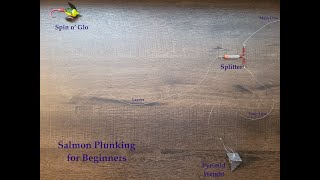 Beginners Guide Salmon Fishing Plunking Rig Spin n Glo Salmon Steelhead [upl. by Storer]