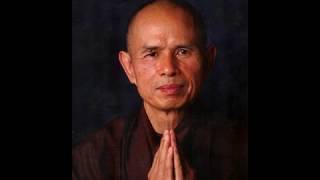 Thich Nhat Hanh  Introduction to Mindfulness  Tranquility Meditation [upl. by Kramlich]