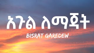 Bisrat Garedew  Agul Lemijat Lyrics Ethiopian Music [upl. by Atnahs530]