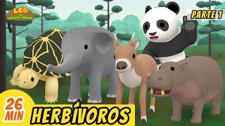 Herbívoros Episodio Compilación Parte 13 Español  Leo El Explorador  Animación  Familia [upl. by Parsons]