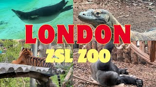 LONDON ZOO Walking Tour 2023  England 4K [upl. by O'Conner12]