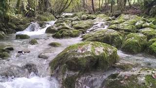 Relax con il rumore dell acqua di un ruscello di bosco [upl. by Mortimer694]