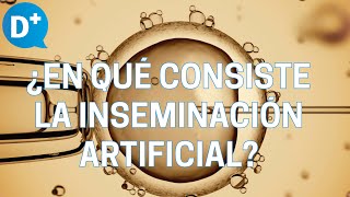 ¿En qué consiste la inseminación artificial [upl. by Oniotna]