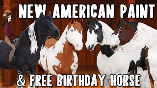 SPOILERS FREE HORSE AMERICAN PAINT HORSE ALL COAT COLOURS NEW RIDING HALL BIRTHDAY HORSE amp more [upl. by Weig]