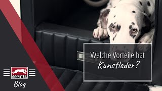 Hundebetten und Hundesitze aus KUNSTLEDER Was sind die Vorteile  Hundewissen 0005 [upl. by Susi371]