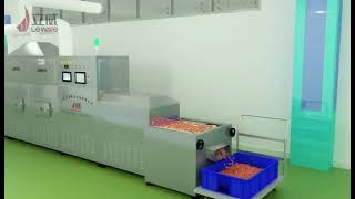 Integrated microwave withering and drying machine for Eucommia ulmoides mulberry leaves [upl. by Ayhtin]