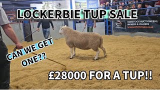 £28000 For a CHEVIOT tup Lockerbie auction do we manage to get one bought [upl. by Enoval]