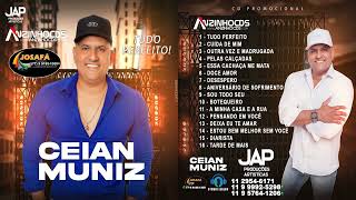 CEIAN MUNIZ  NOVO CD  2023 TÀ TUDO PERFEITO OFICIAL [upl. by Glenna]