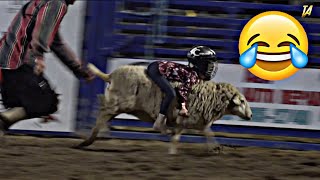 The FUNNIEST Pet Sheep Riding Video🤣2024 Try Not To Laugh [upl. by Enitsenrae456]