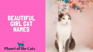 Most Popular Female Cat Names  Top 100 Best Female Cat Names [upl. by Pryor566]