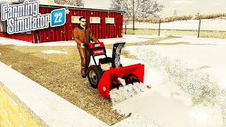 I STARTED A SNOW PLOW COMPANY WITH 0 AND SNOW BLOWER [upl. by Anoik]