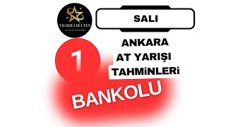 SALI Ankara At Yarışı Tahminleri [upl. by Yenahs]