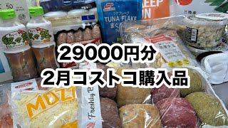 【2月20日購入】【￥29000分】コストコ購入品紹介 [upl. by Ayote931]