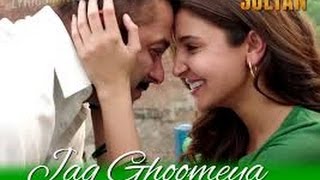 Jag Ghoomeya  Sultan Movie  Salman Khan Anushka Sharma  Rahat Fateh Ali Khan VishalShekhar [upl. by Dagney]