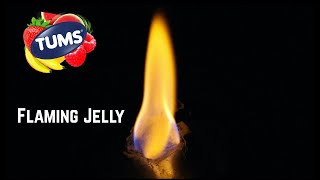 Turning TUMS into Flaming Jelly [upl. by Ahselyt]