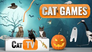 Cat Games  Purranormal Playtime A Spooky Halloween Cat TV Special 🎃🐱  Videos For Cats to Watch 😼 [upl. by Ardnazxela186]