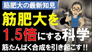 【筋肉栄養学】筋タンパク合成率を47％高める科学 筋肥大の為の最新研究 [upl. by Javier]