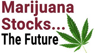 MARIJUANA Stocks in 2019  The Future of Cannabis Stocks [upl. by Orelee]