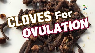 How To Use Cloves To Boost Ovulation [upl. by Eldred939]