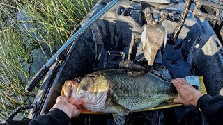 Top 50 Biggest Bass from the kayak [upl. by Martinelli]