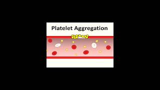 Blood clotting process doctorsahabji biology haematology [upl. by Odyssey]