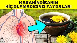 KARAHİNDİBANIN FAYDALARI  KARAHİNDİBA ÇAYI NASIL YAPILIR HİNDİBA OTUNUN FAYDALARI [upl. by Melvin]