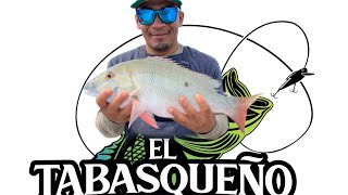 🔴Pesca variada con carnada [upl. by Aronaele]