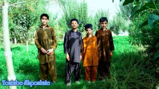 Afghan Pashto Attan song tribute to the Loya Paktia [upl. by Thibaud]