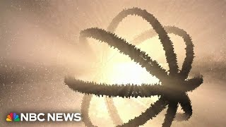 New study finds potential alien megastructures known as dyson spheres [upl. by Akeemahs257]