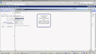 Siebel CRM Demo [upl. by Noissap222]