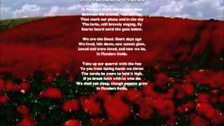 In Flanders Fields Song New Melody [upl. by Alcina]