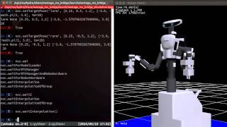 NEXTAGE OPEN simulation with hrpsys viewer [upl. by Ivetts]